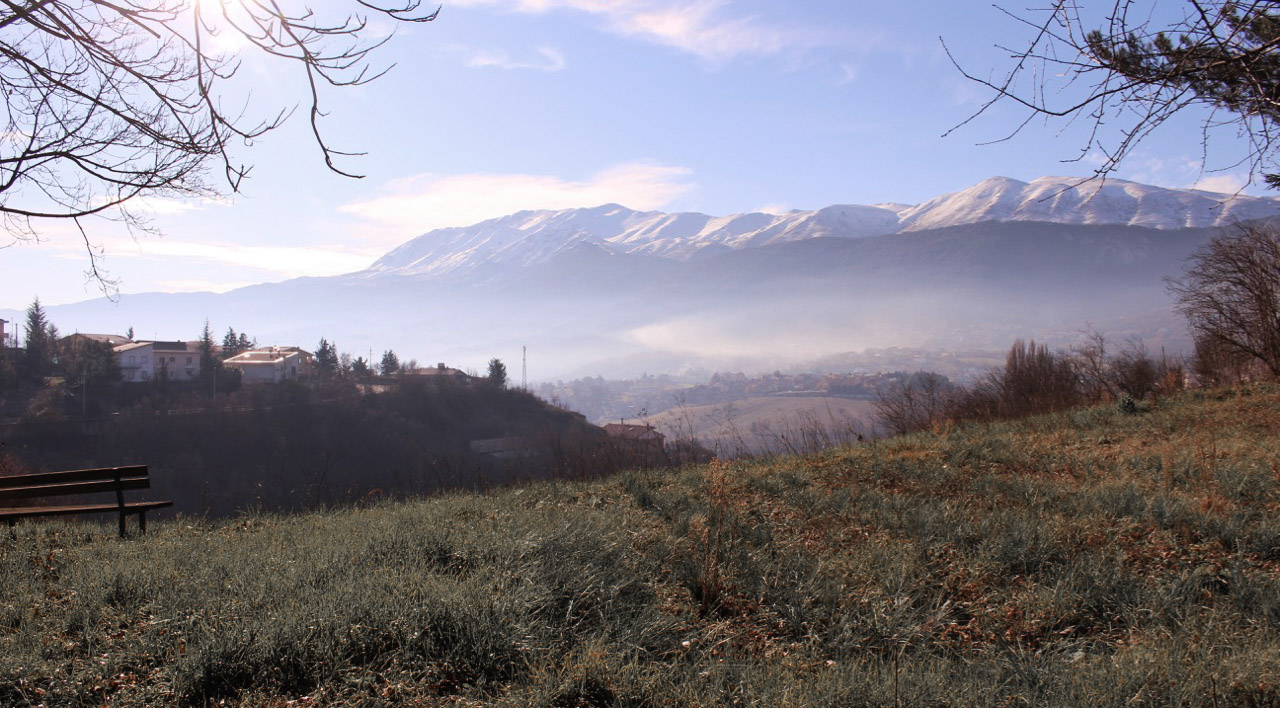 landscape mountains mist botanical garden.jpg