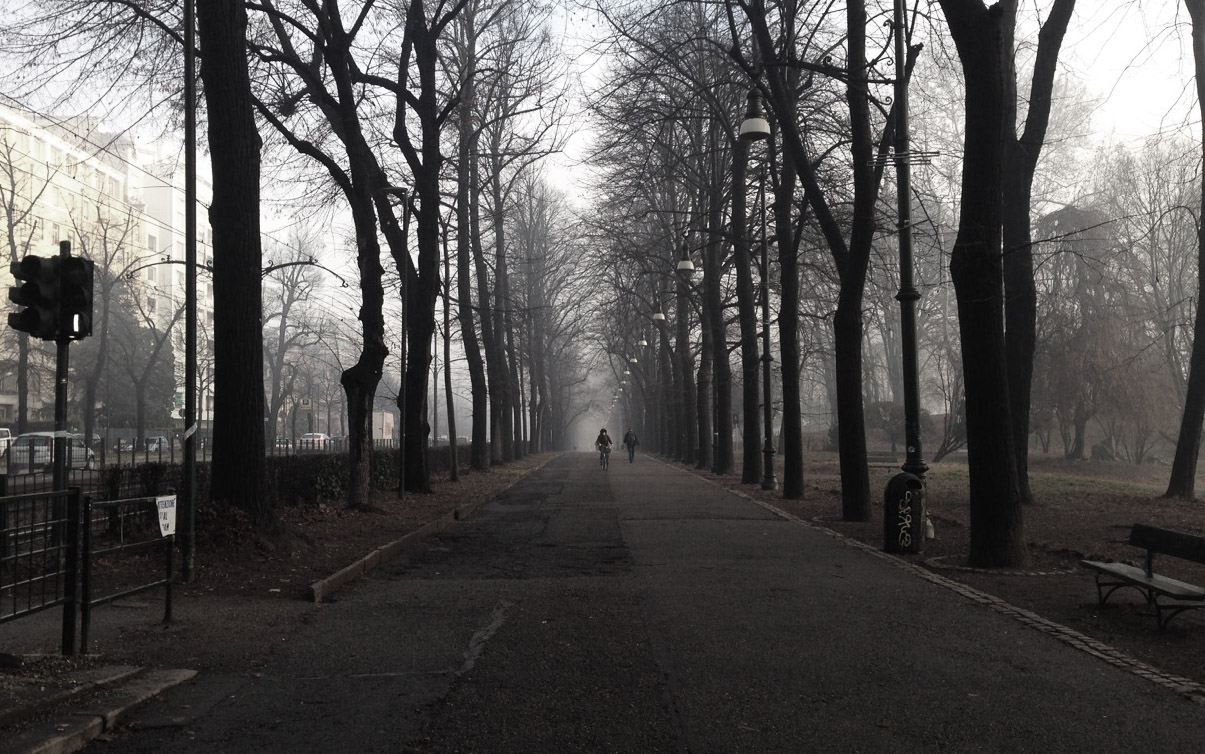 misty park walkway torino.jpg